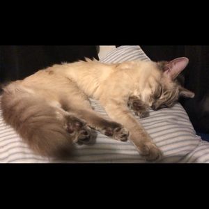 Meet your Posher, Ruby